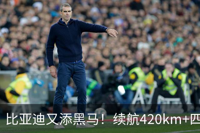 比亚迪又添黑马！续航420km+四轮独悬，还带激光雷达，6.59万起！