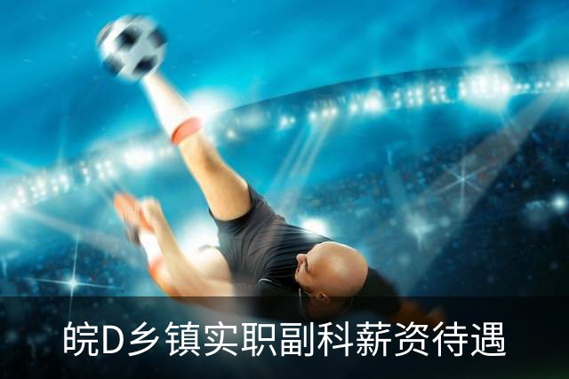 皖D乡镇实职副科薪资待遇